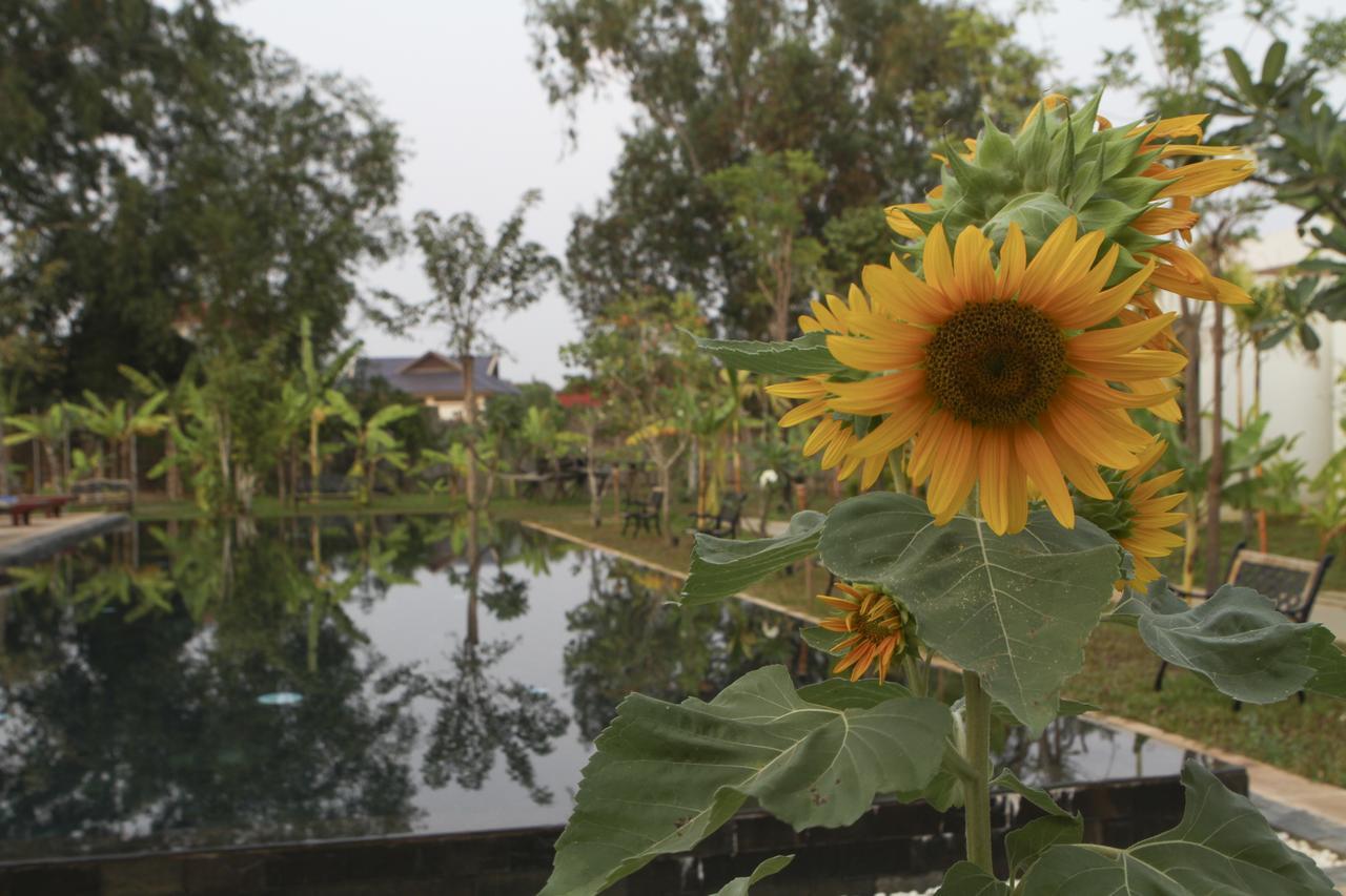 Blue Spring Boutique Hotel Siem Reap Exterior foto