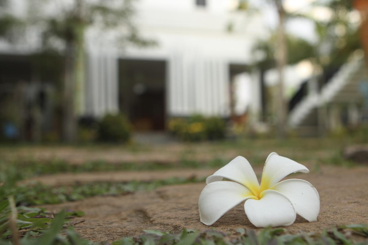 Blue Spring Boutique Hotel Siem Reap Exterior foto
